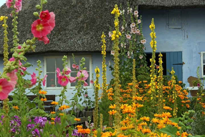 Unleash Paradise: Tropical Planting for Front Yards!